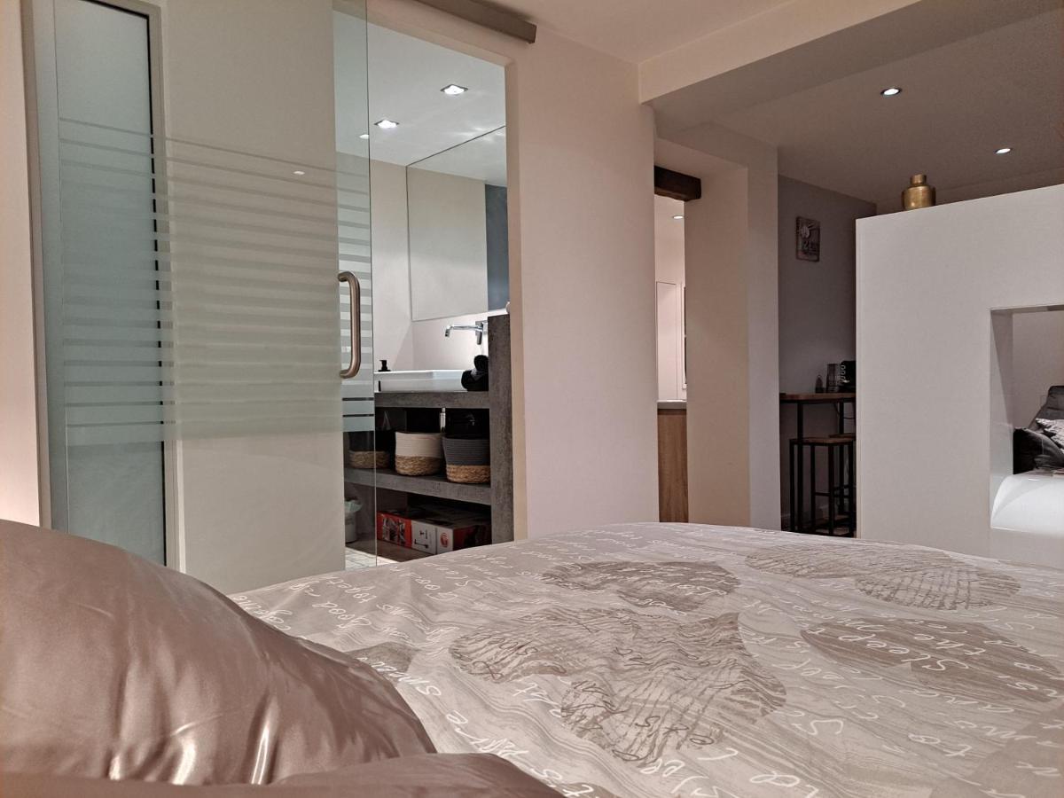 Boigne Sweet Suite Chambery Exterior photo
